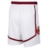 Hombre Houston Rockets Pantalones 2024-25 Nike City Edition Swingman